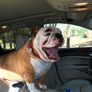 Meet your Posher, Jesus